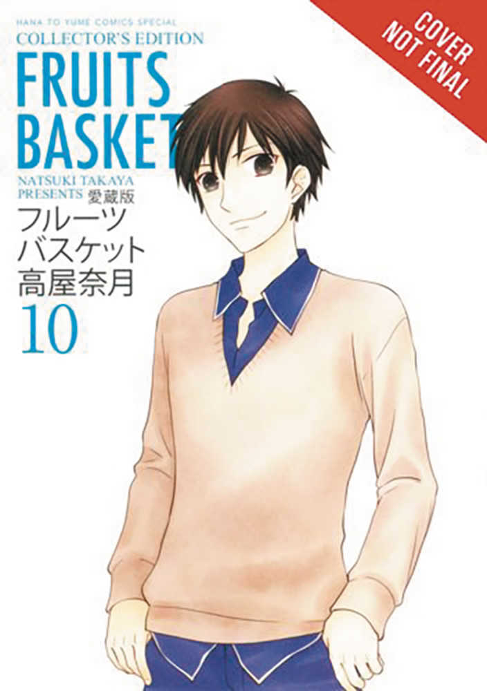 Fruits Basket Collectors Edition TPB Volume 10