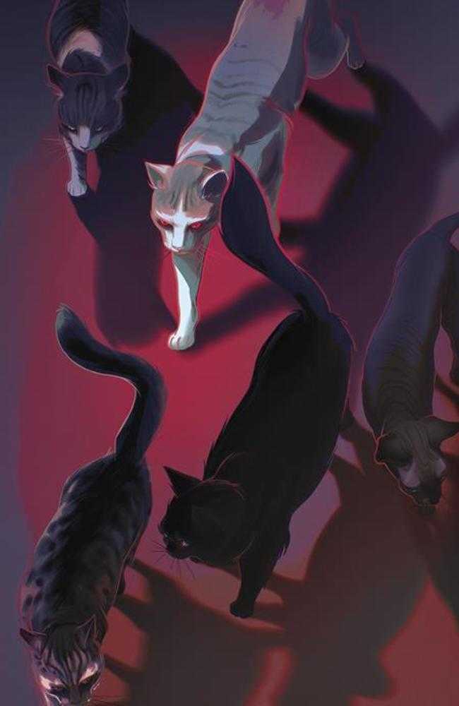 Feral #1 Cover E 25 Copy Variant Edition Cook