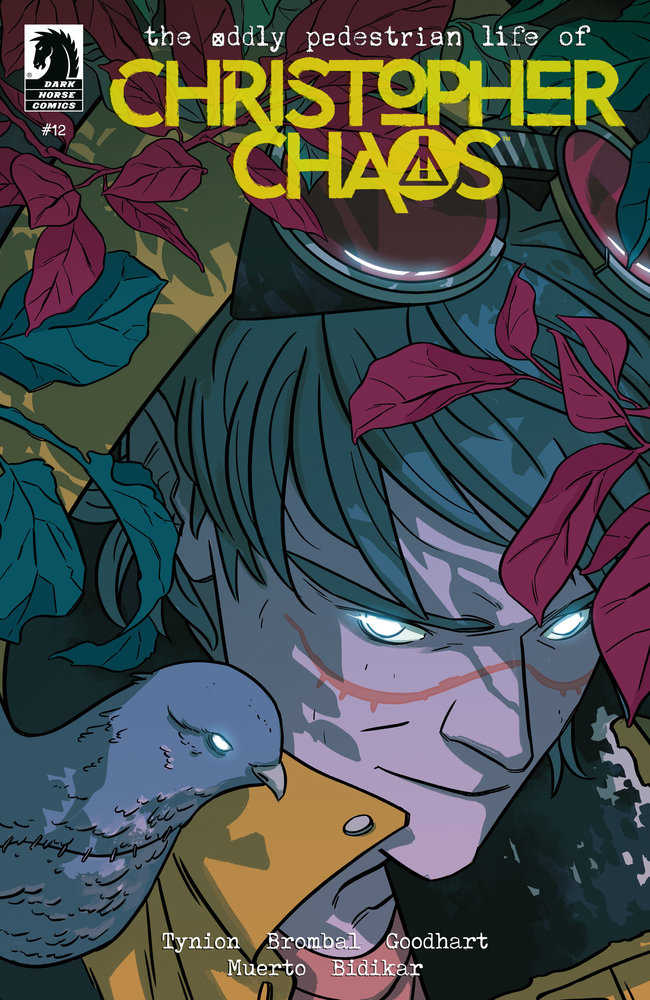 Oddly Pedestrian Life Christopher Chaos #12 Cover B Biondi