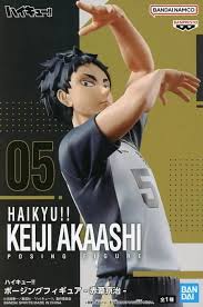Haikyu!! Keji Akaashi