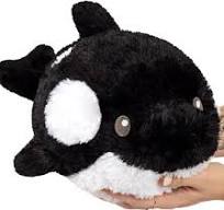 Squishable: Mini Orca -