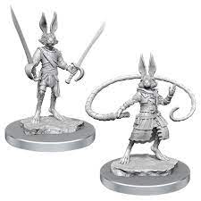 Harengon Rogues - Nolzur's