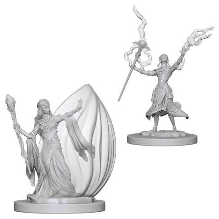 Elf Wizard (F) - Nolzur's
