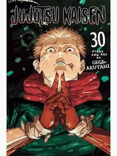 Jujutsu Kaisen Graphic Novel Volume 30