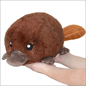 SQUISHABLES 7" BABY PLATYPUS