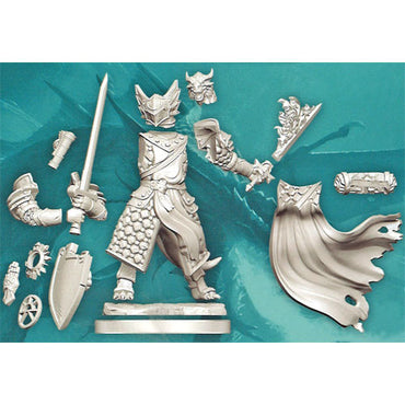 Frameworks - Dragonborn Paladin (M)