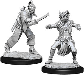 Human Monk (M) - Nolzur's