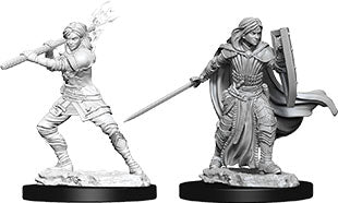 Human Paladin (F) - Nolzur's