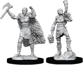 Human Barbarian (F) - Nolzur's