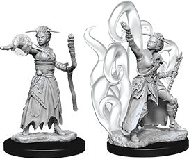 Human Warlock (F) - Nolzur's