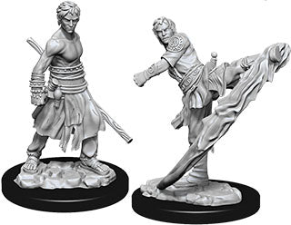 Half-Elf Monk (M) - Nolzur's