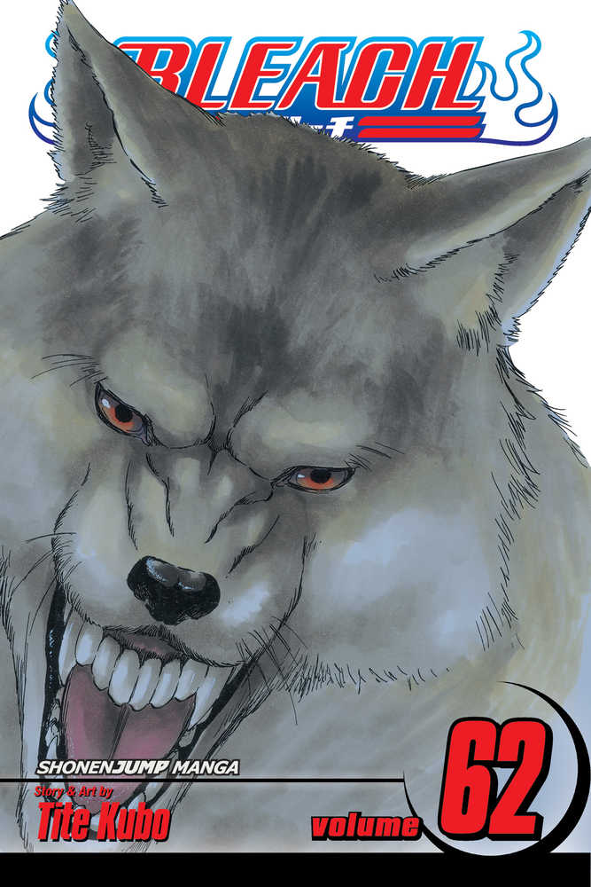Bleach Graphic Novel Volume 62
