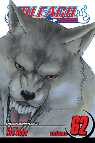 Bleach Graphic Novel Volume 62