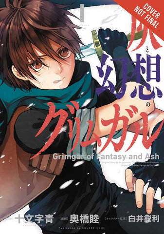 Grimgar Of Fantasy & Ash Graphic Novel Volume 01