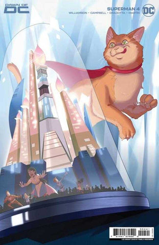 Superman #4 Cover E 1 in 25 Pamela Hoogeboom Card Stock Variant