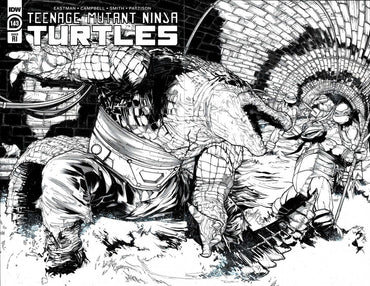 Teenage Mutant Ninja Turtles Ongoing #143 Cover D 25 Copy Variant Edition Sanchez Black & White