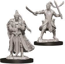 Elf Paladin (M) - Nolzur's